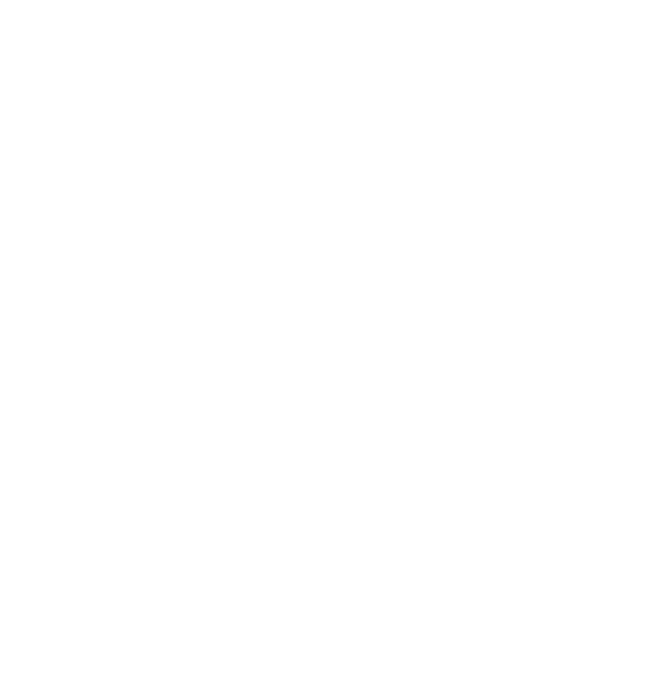 Logo PALMIST blanc fond transparent